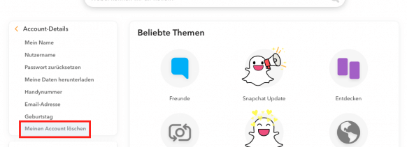 Snapchat Account löschen Website Schritt 4